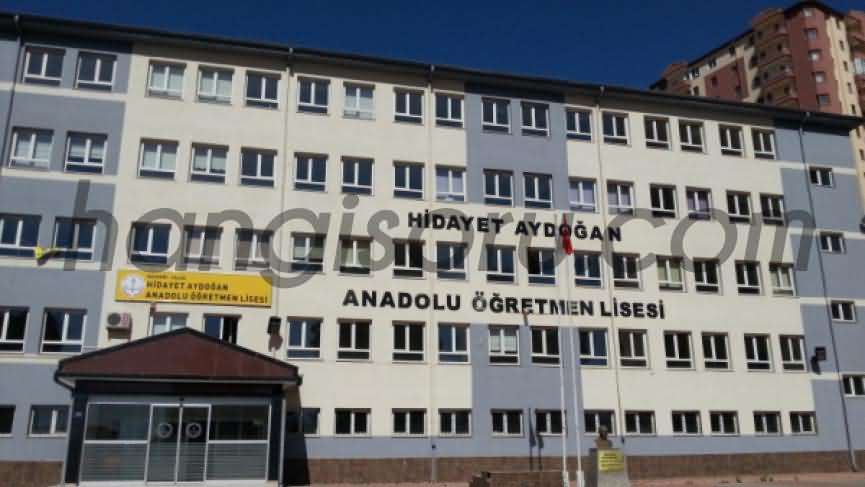  Hidayet Aydoğan Sosyal Bilimler Lisesi Resim